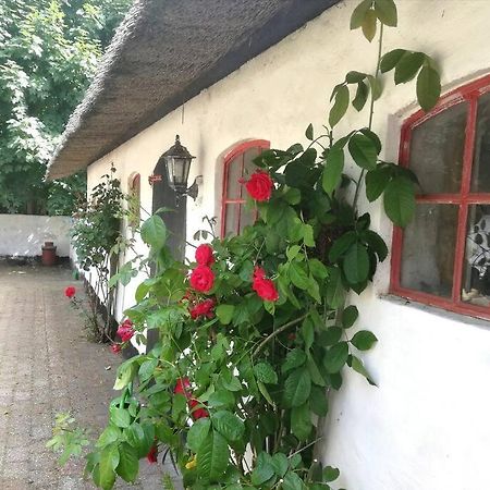 Gemuetliches Reetdachhaus Mit Kaminofen Vandrarhem Ribe Exteriör bild