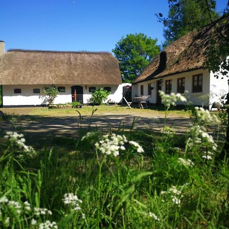 Gemuetliches Reetdachhaus Mit Kaminofen Vandrarhem Ribe Exteriör bild