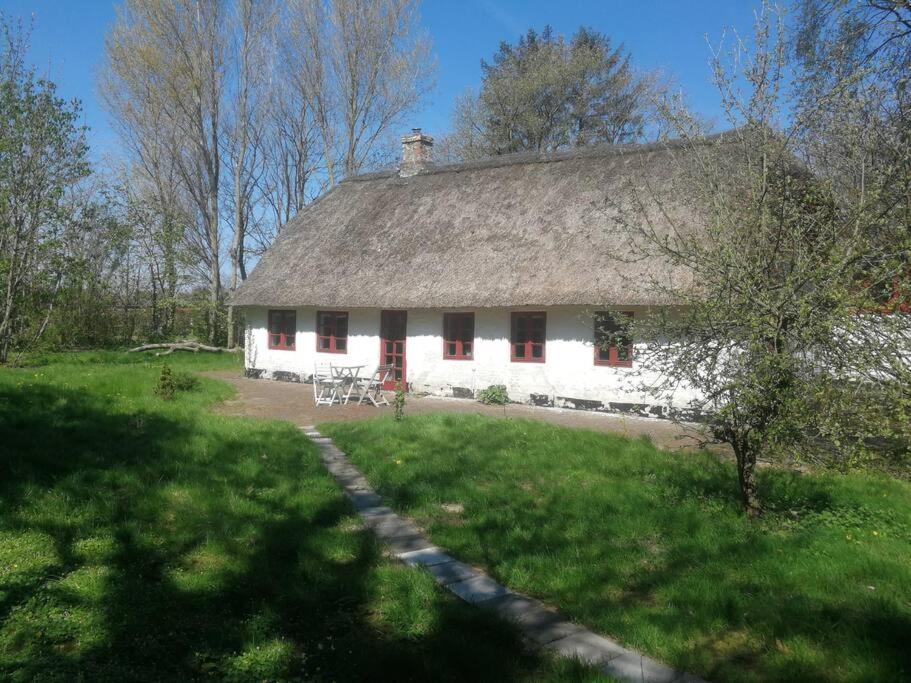 Gemuetliches Reetdachhaus Mit Kaminofen Vandrarhem Ribe Exteriör bild