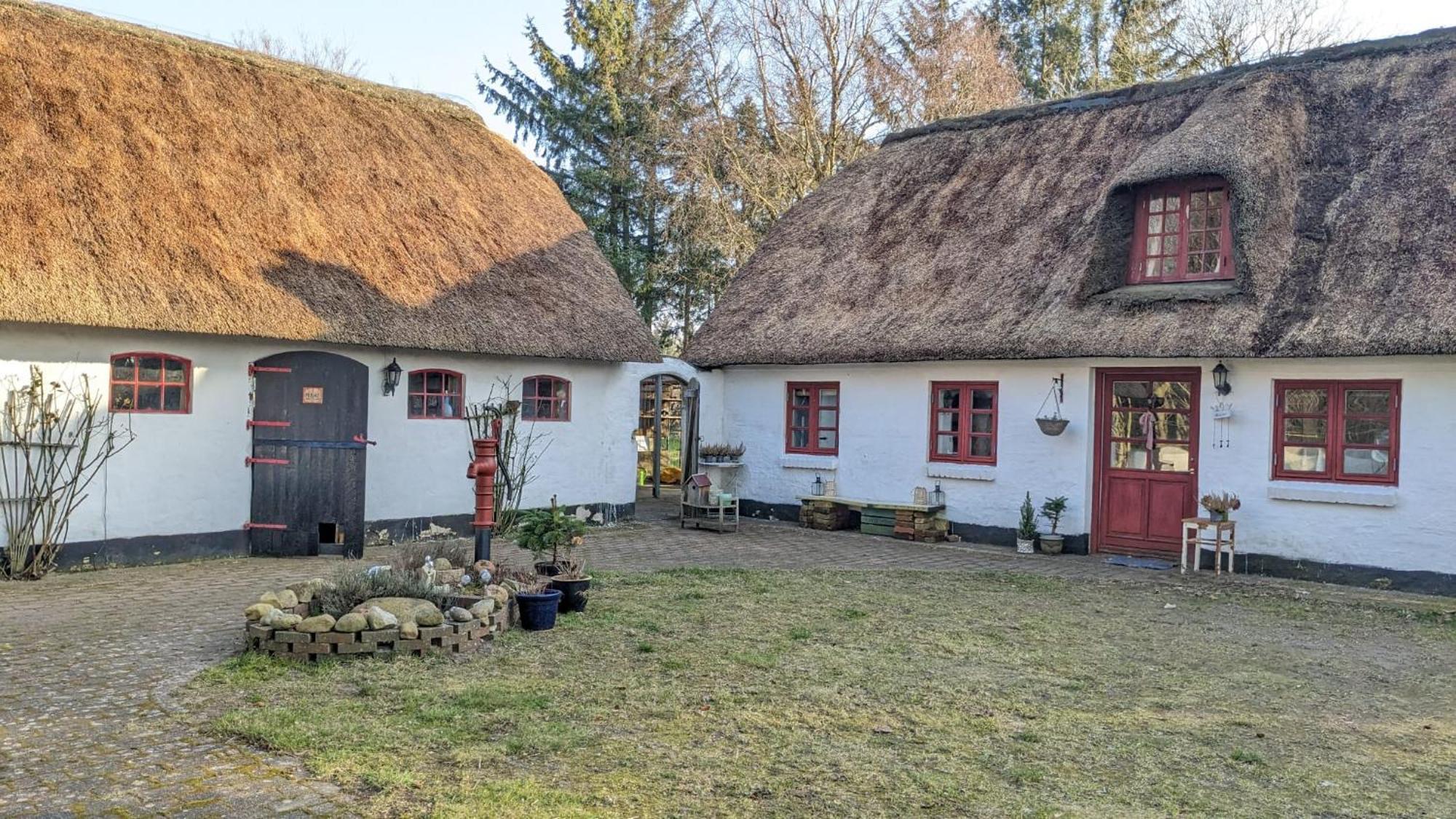 Gemuetliches Reetdachhaus Mit Kaminofen Vandrarhem Ribe Exteriör bild
